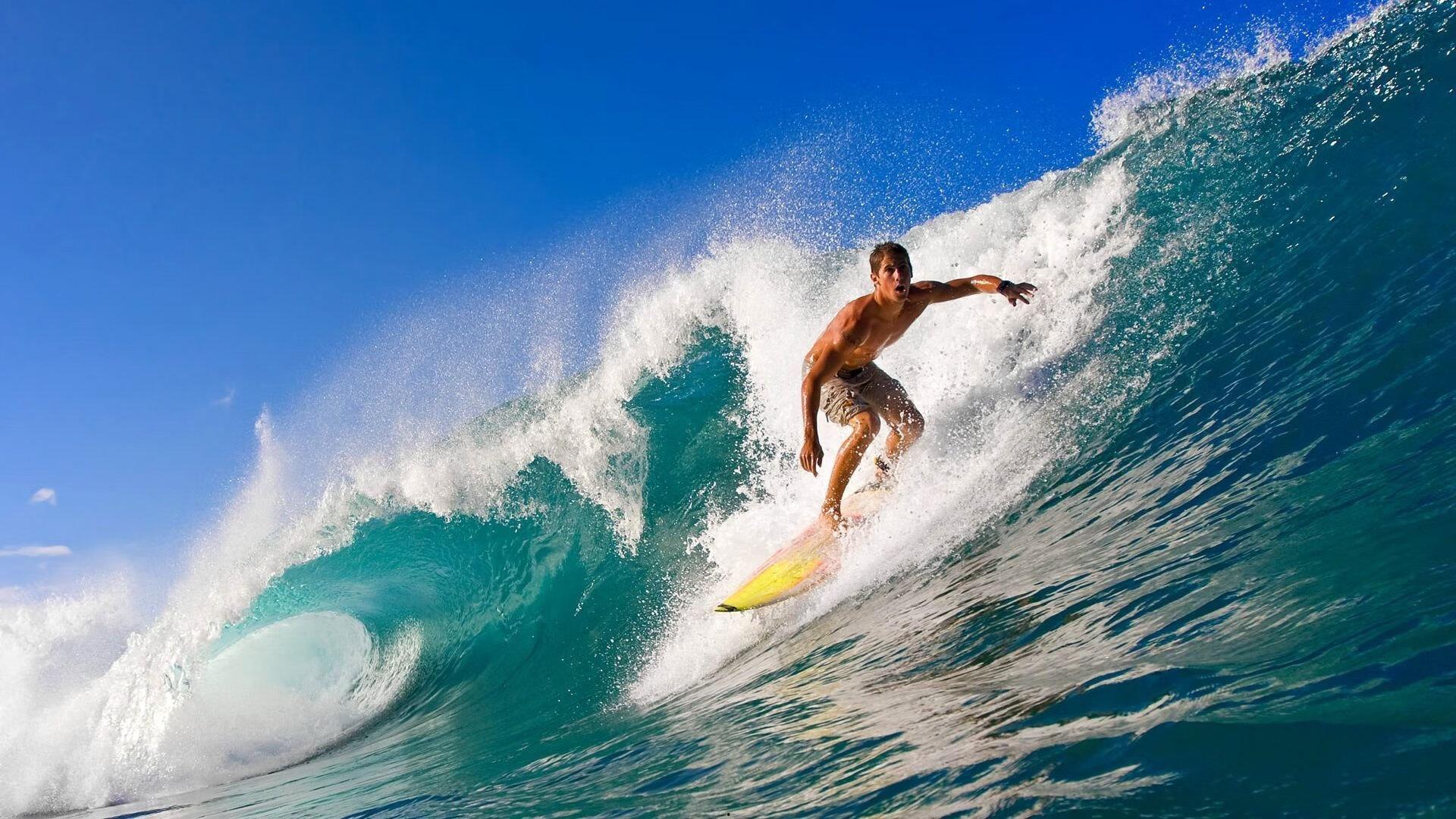 观察数据概括不了的赢家！评选联盟最佳追梦阵容